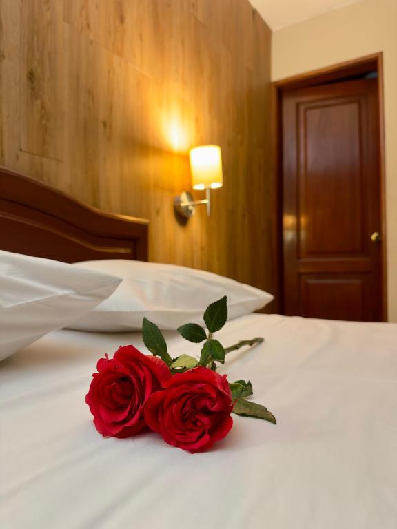 Postel nebo postele na pokoji v ubytování Hotel Asturias Inn