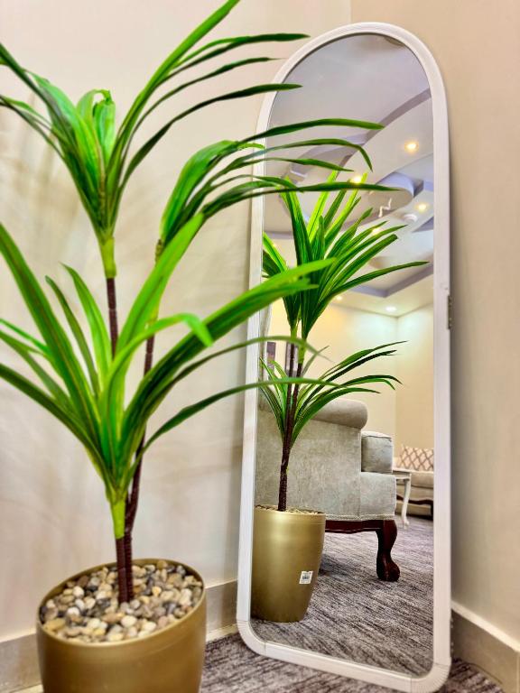een spiegel in een woonkamer met twee planten bij نورة ريزيدينس in Taif