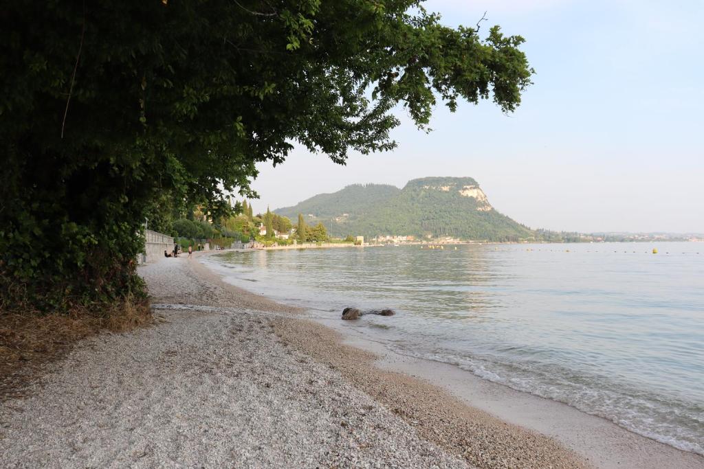 a beach next to the water with a tree at Monika Holiday 619 Green Garda Lake in Garda