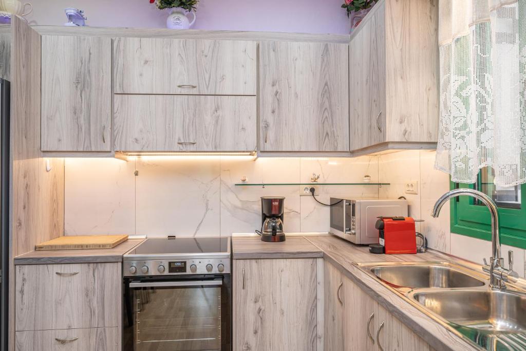 Kuchyň nebo kuchyňský kout v ubytování Lori Apartament Fiskardo