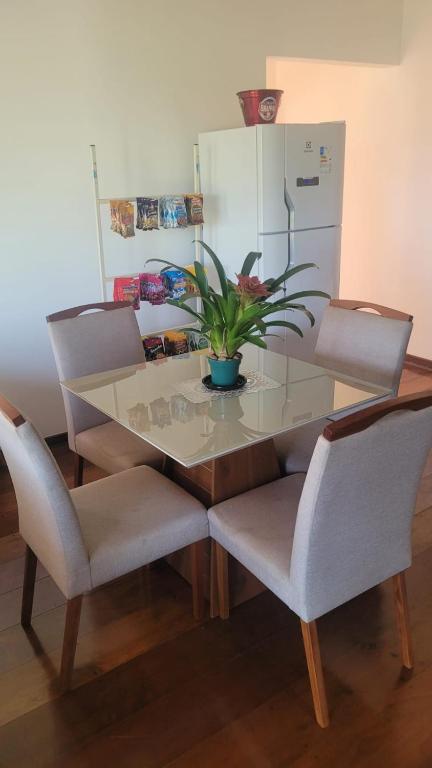 a glass table with chairs and a potted plant on it at LM Hotel Araçatuba in Araçatuba