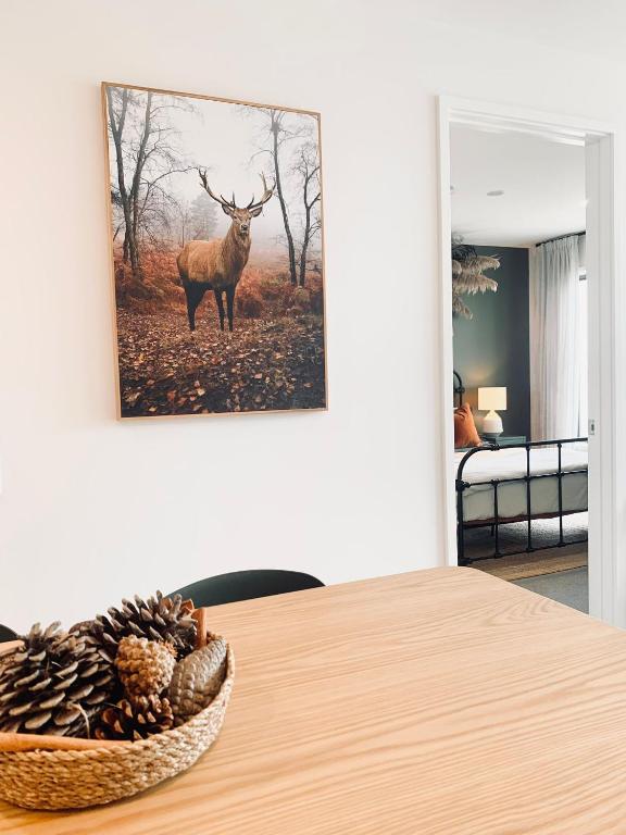 Scandinavian City Escape - Walk Everywhere in CBD - Oslo on Hereford - Resim 12