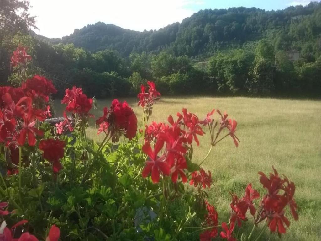 Táj Show holiday homes közelében