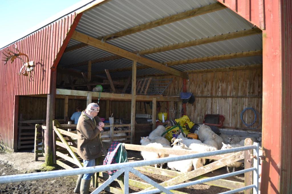 Hosté ubytování Oban Seil Farm