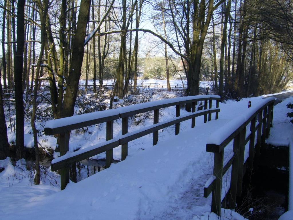 Bosbeekvallei during the winter