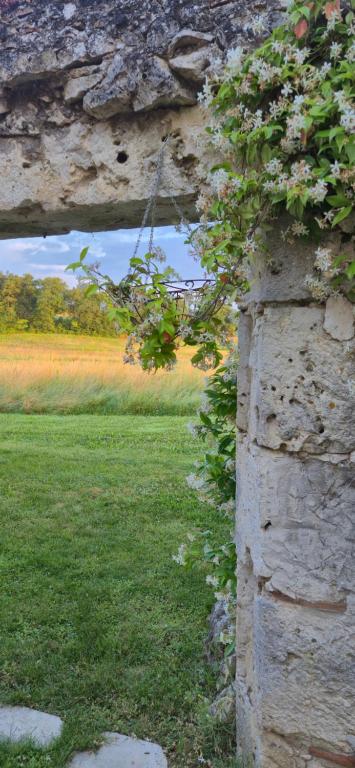 Κήπος έξω από το Au Clair de Vianne -Vue panoramique-chambres indépendantes- Chambre Romance avec jardin et jacuzzi privatifs-calme