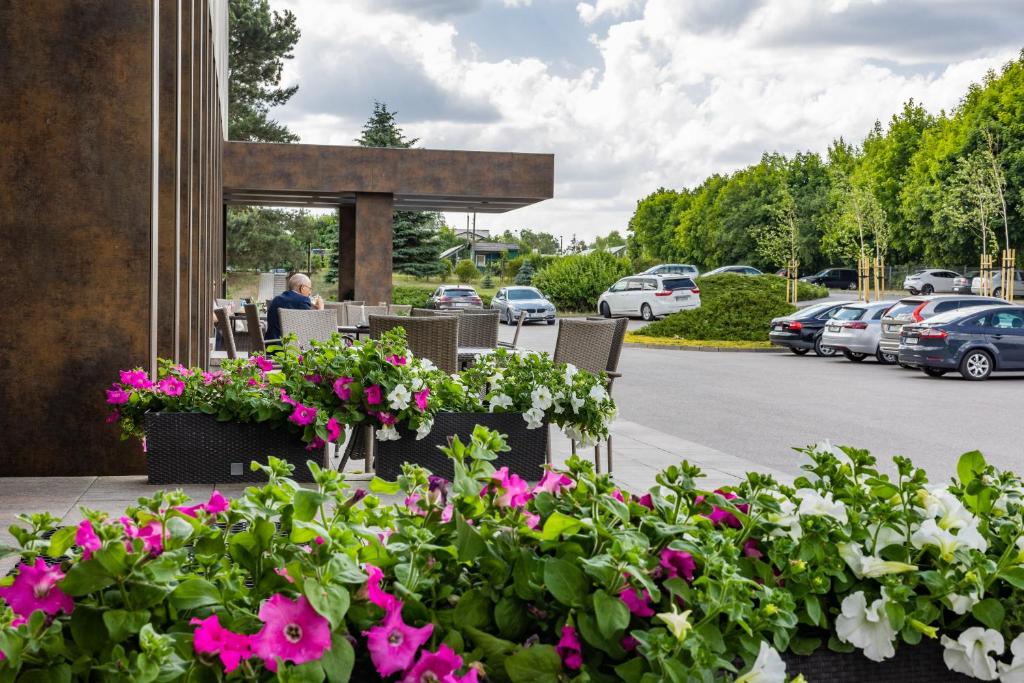 Zahrada ubytování Hotel Leśny