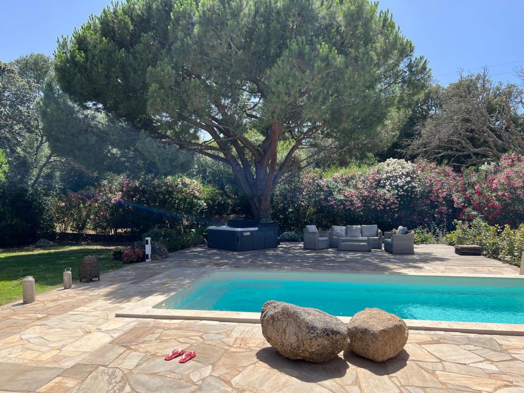 une piscine avec deux gros rochers à côté d'un arbre dans l'établissement Casa Flamingo, à Porto-Vecchio