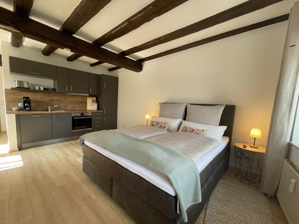 Η κουζίνα ή μικρή κουζίνα στο Ferienwohnung an der Mainpromenade