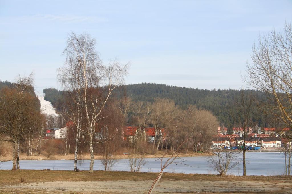 Příroda nedaleko apartmánu