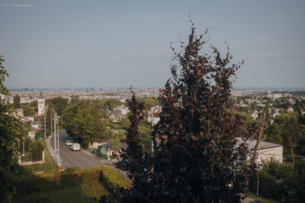 Bio-Hotel Schani Wienblick - Resim 30