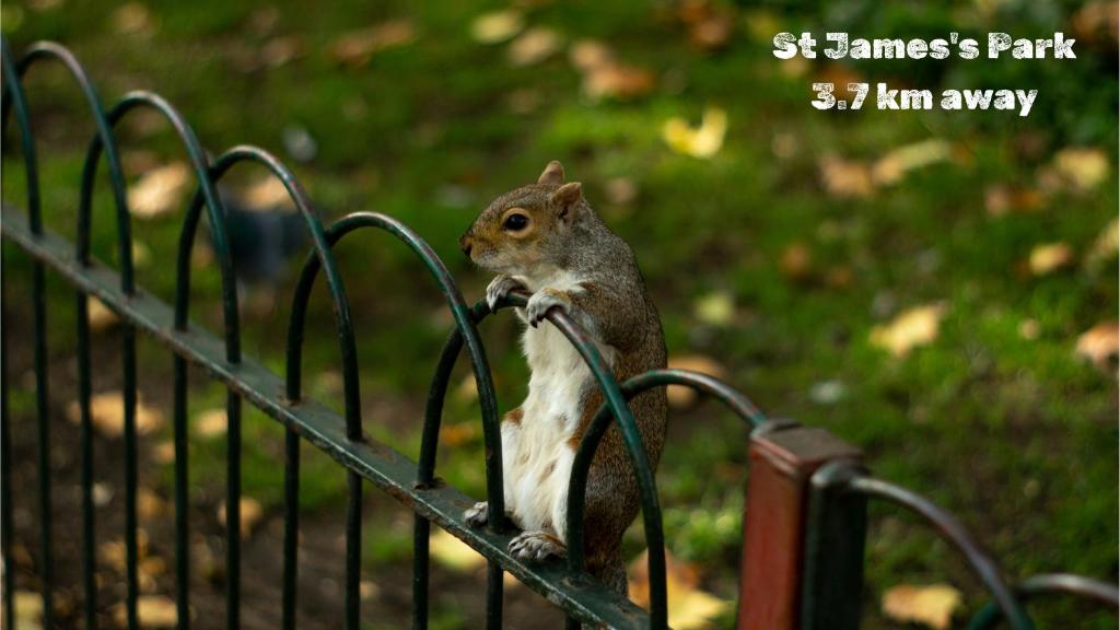 54 Queen's Gate Hotel - Resim 10