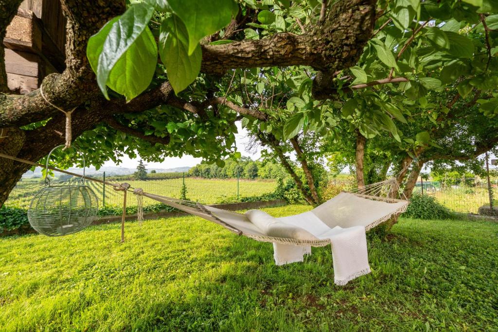 Zahrada ubytování Casa Bilum