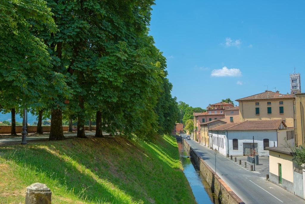 Príroda v okolí apartmánu