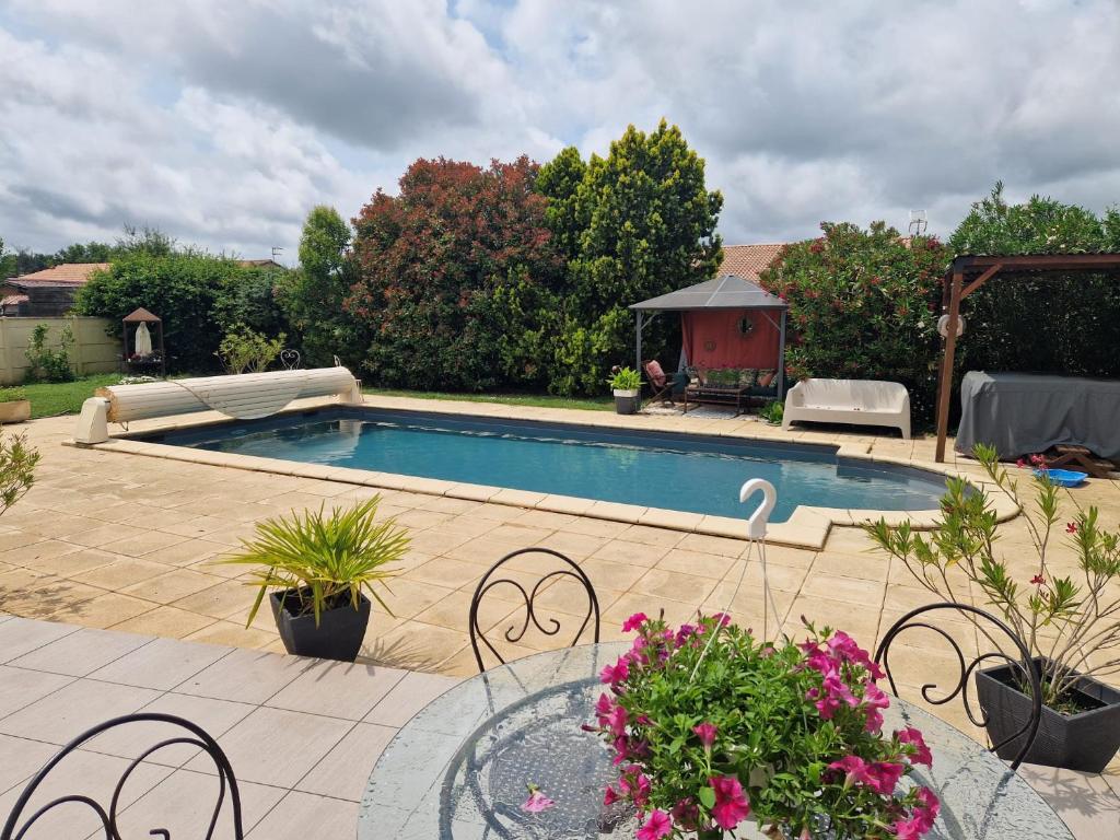 een zwembad in een tuin met bloemen en planten bij Maison 10 personnes Golf - Hippodrome in Montauban