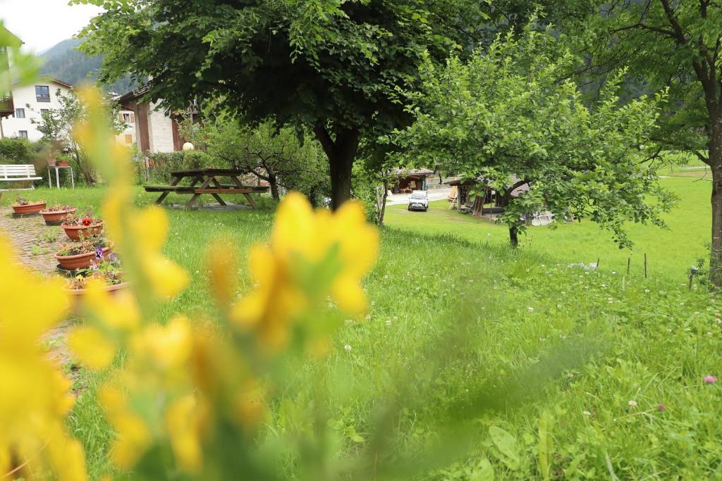 Ogród w obiekcie B&B Apartment La Gioconda