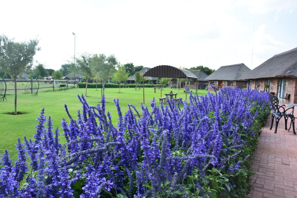 Taman di luar Uurpan Lodge