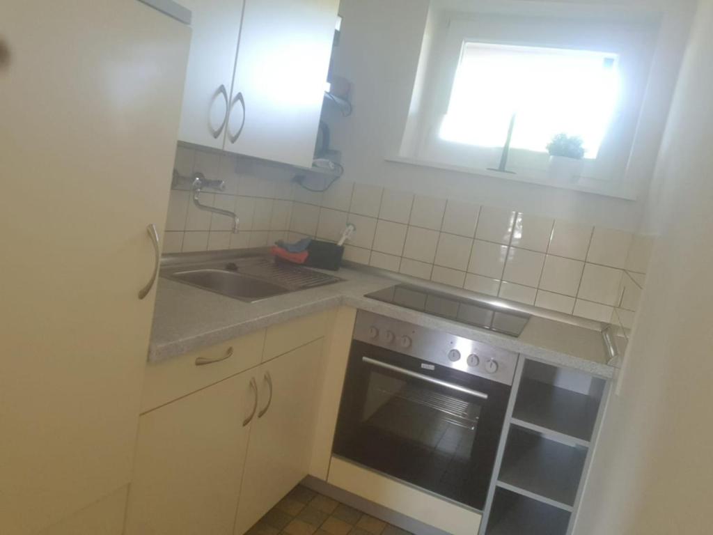 Η κουζίνα ή μικρή κουζίνα στο Wohnen in Elbenähe