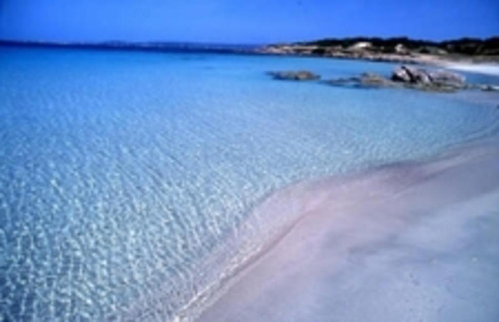 a beach with a large body of water at Casa vacanze al mare in Sardegna in Calasetta