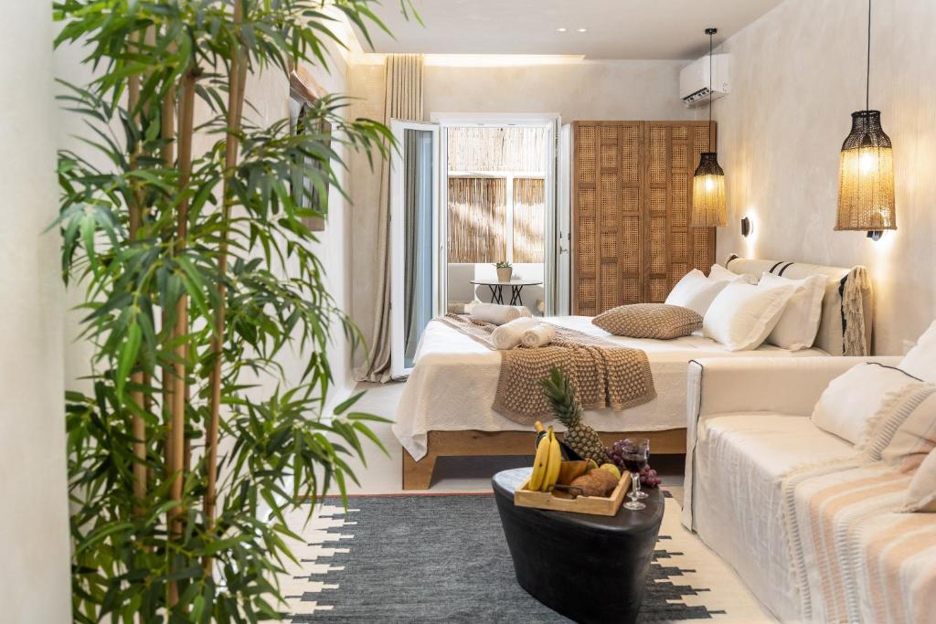 TERRA FOS NAXOS STUDIOS - 9