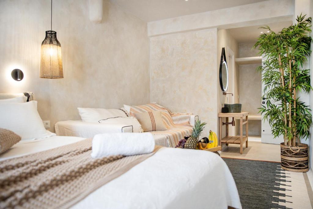 TERRA FOS NAXOS STUDIOS - 11