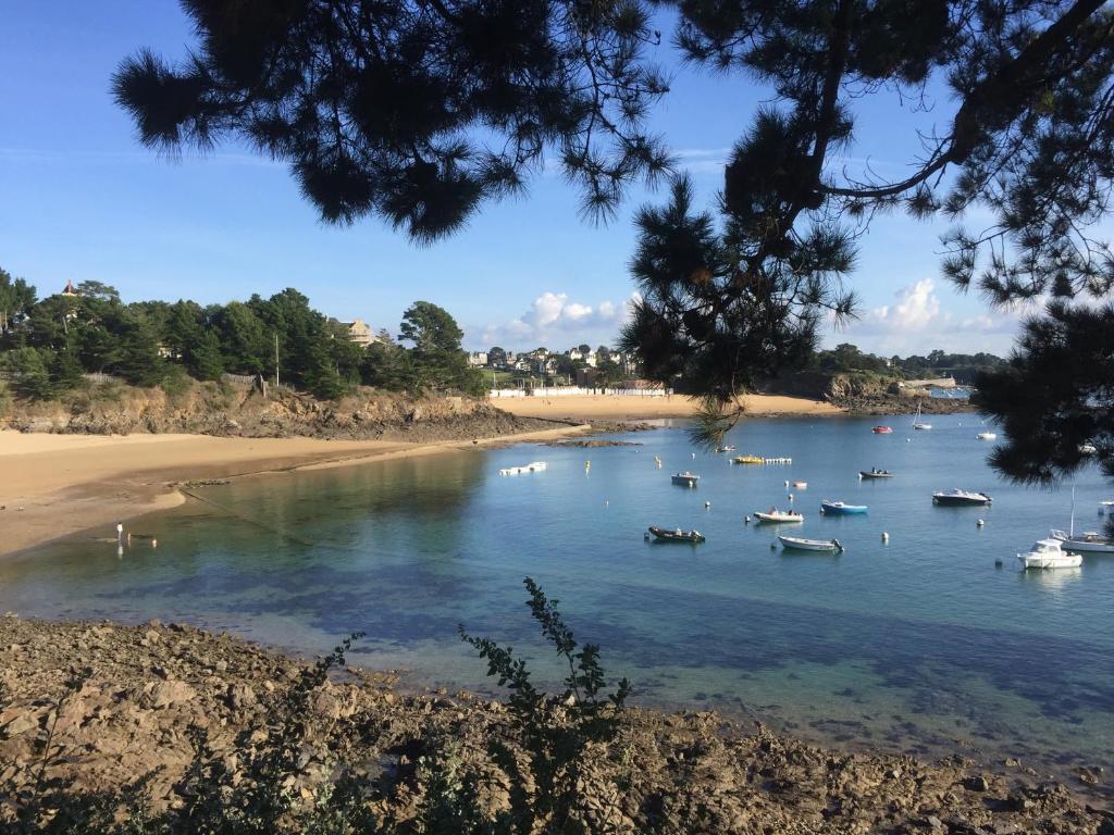 un groupe de bateaux dans l'eau sur une plage dans l'établissement Maison Plein Sud St Lunaire Bretagne, à Saint-Lunaire