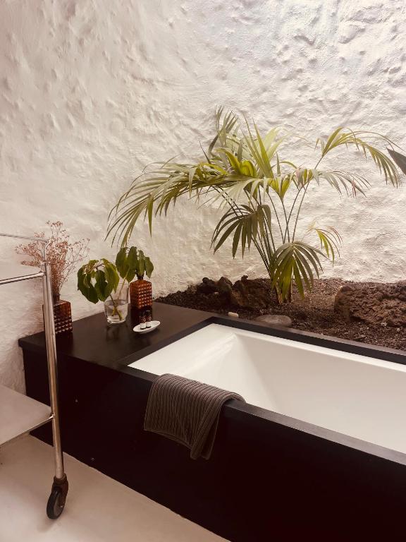 Kép Finca Malvasia Rural Estate & Vineyard szállásáról Tíasban a galériában