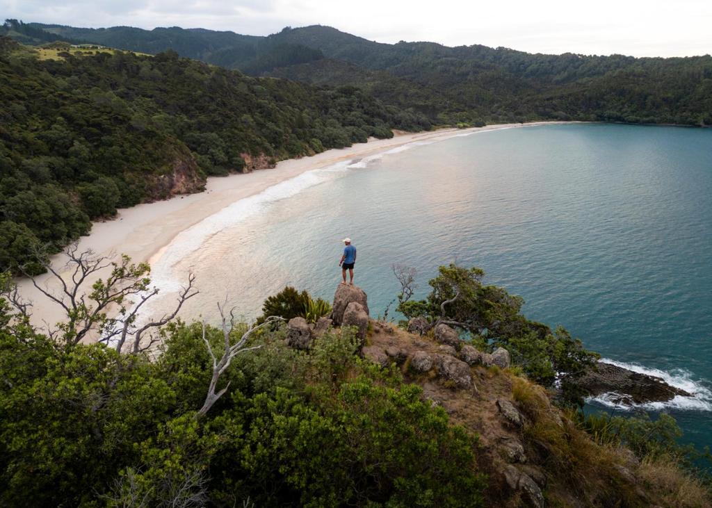 Tasman Holiday Parks - Coromandel - Resim 8