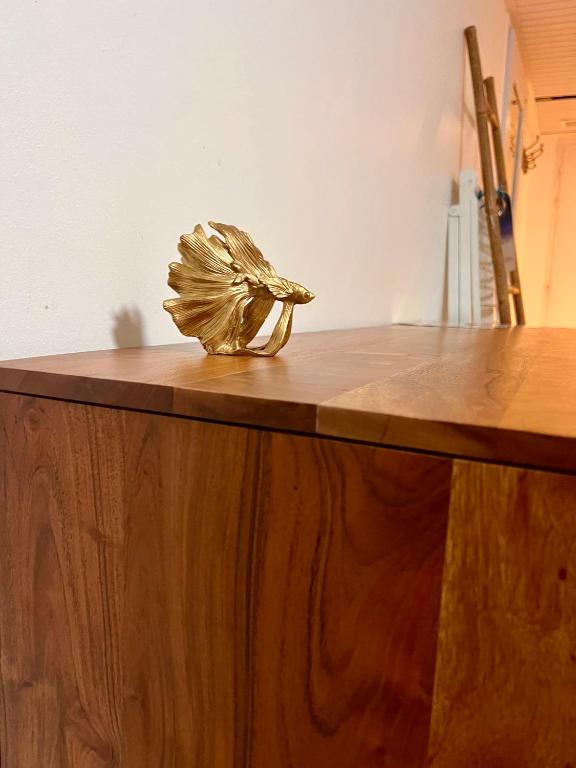 Fotografie z fotogalerie ubytování cœur d hibiscus P&V v destinaci Sainte-Luce