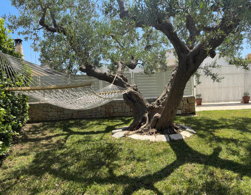 un hamac suspendu à un arbre dans une cour dans l'établissement La Cummersa Trulli Holiday, à Alberobello