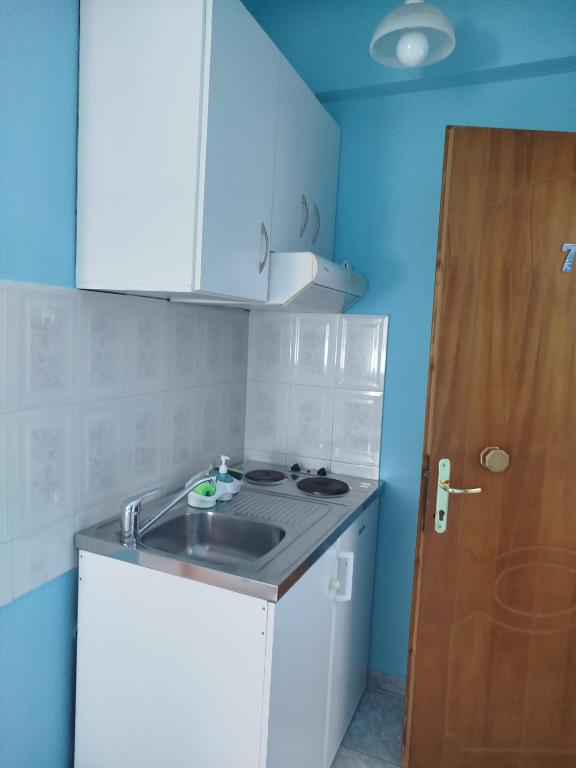 Kuchyň nebo kuchyňský kout v ubytování StamFlor Studios