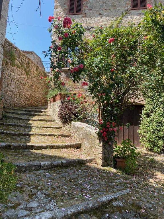 Vonkajšia záhrada v ubytovaní Casa del Capitano Rocca d'Orcia