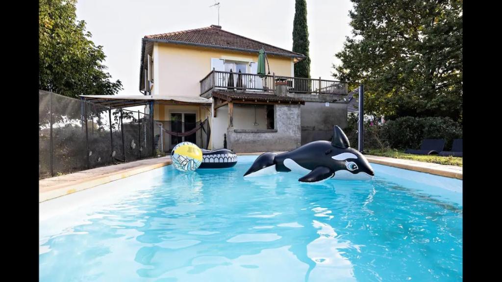 - un dauphin dans l'eau de la piscine dans l'établissement Maison 6 chambres, piscine, grand jardin, à Saint-Marcel