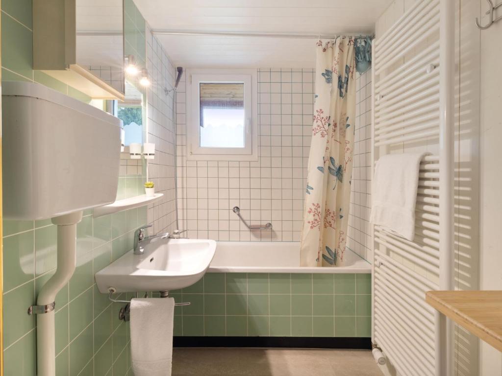 Koupelna v ubytování Apartment Haimavati by Interhome