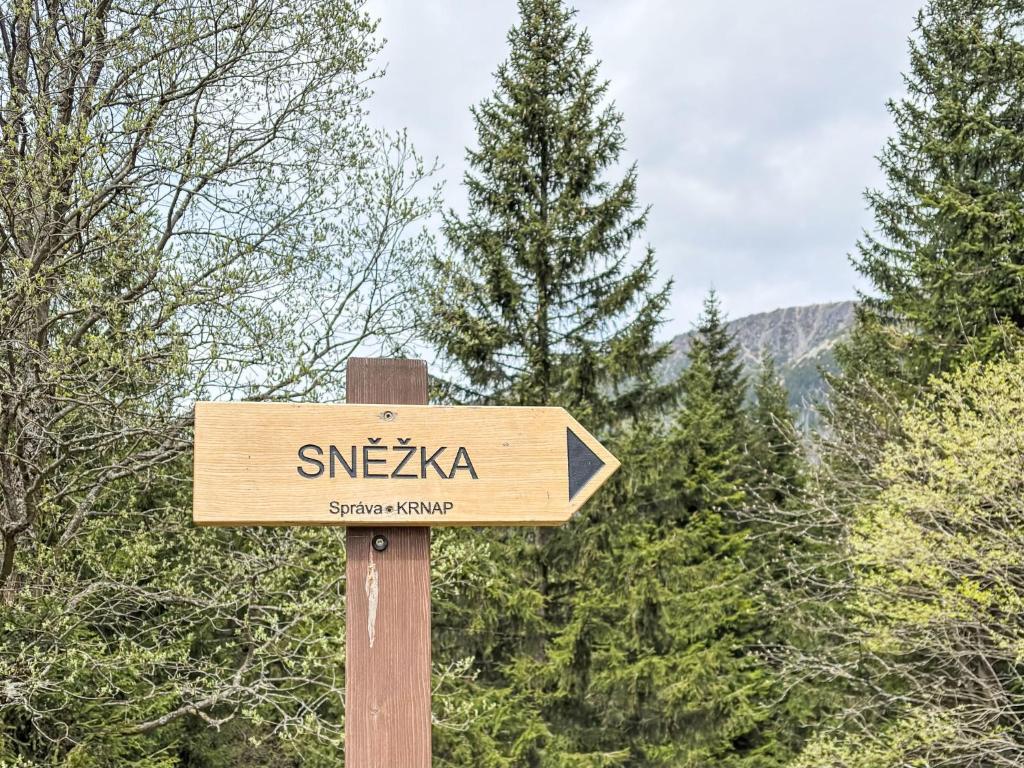 Příroda nedaleko apartmánu