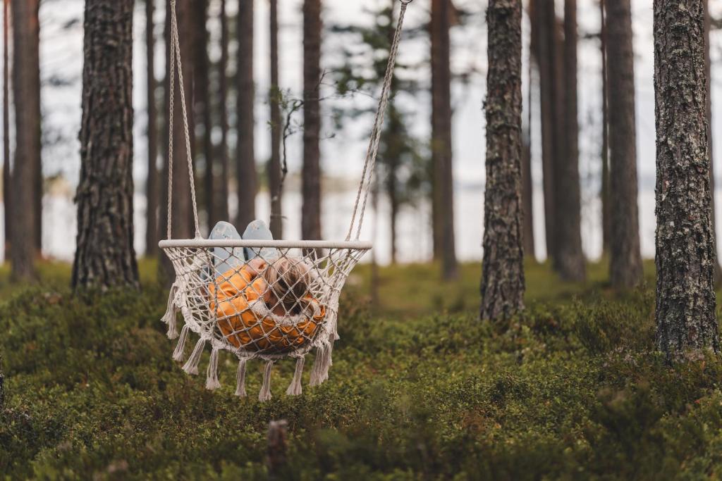 Imagen de la galería de Dream-mökkivaunu Pistocampilla, en Puumala
