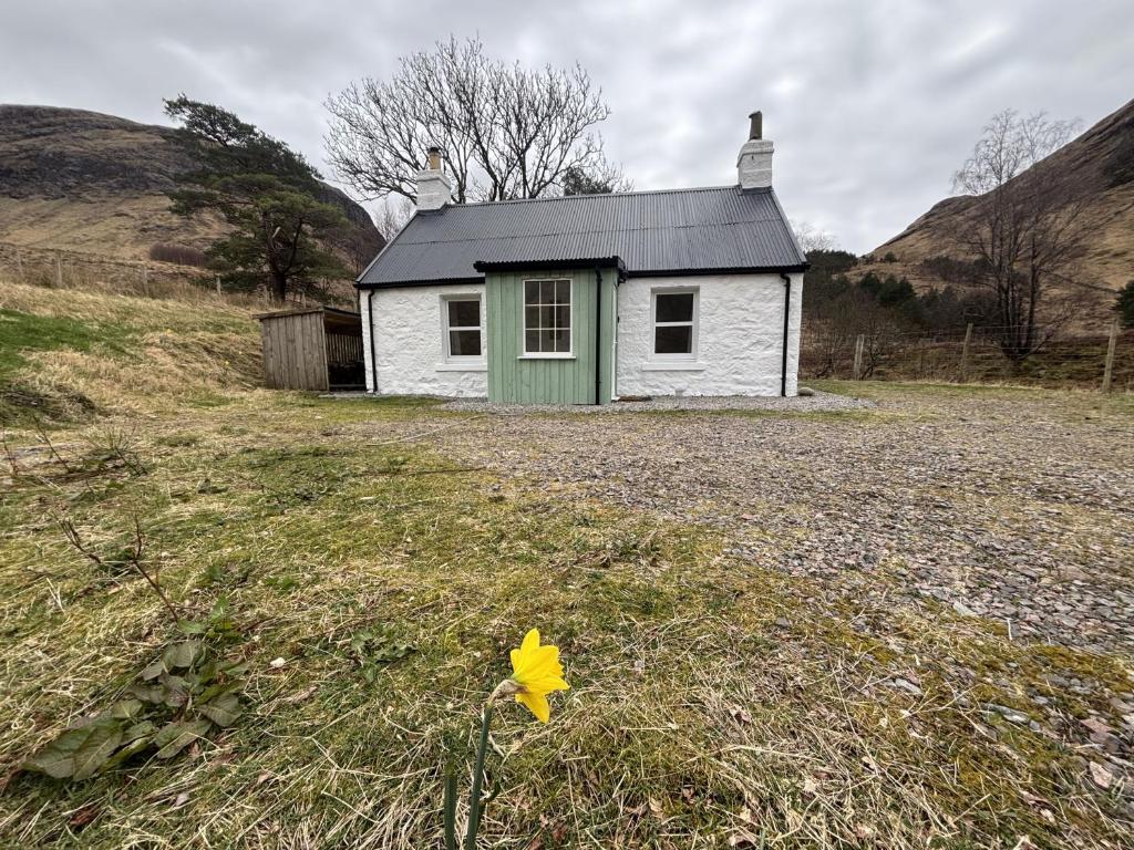 eine gelbe Blume vor einem kleinen Haus in der Unterkunft Altchourunn Cottage in Acharra