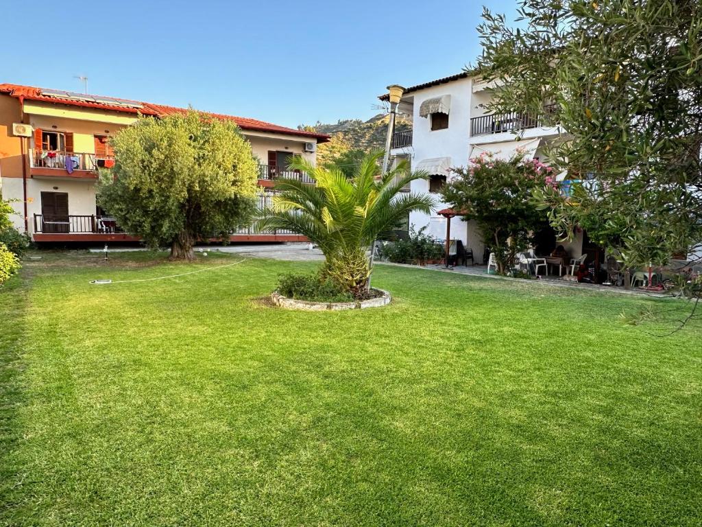 een palmboom in het midden van een tuin bij House Nativa in Mola Kalyva