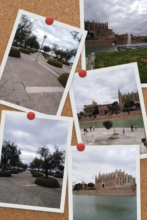 Fotografie z fotogalerie ubytování Mystique v destinaci Palma de Mallorca
