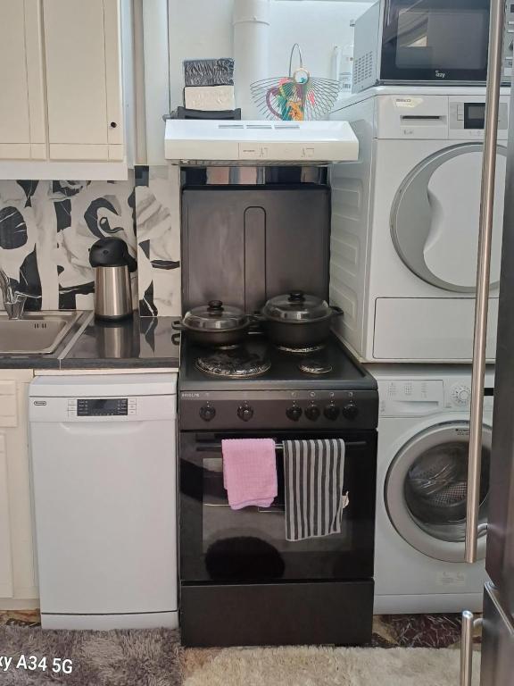 Kuchyň nebo kuchyňský kout v ubytování Constantina D Apt Argos