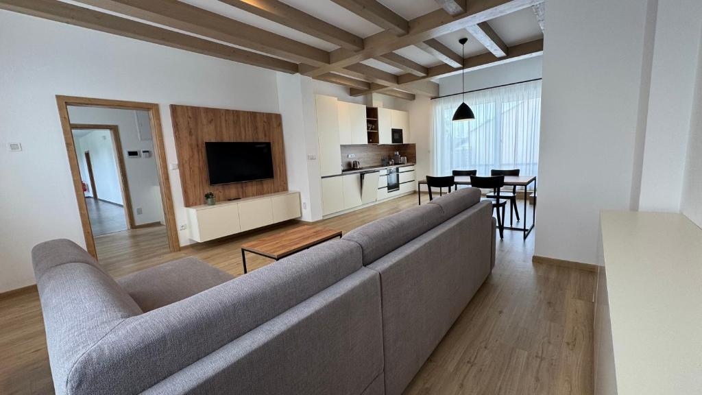 TV a/nebo společenská místnost v ubytování Apartmány Lošov