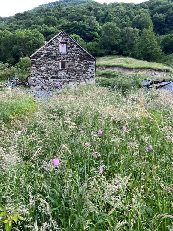 an old stone building in a field of tall grass at L'abri de rioumaou in Saligos