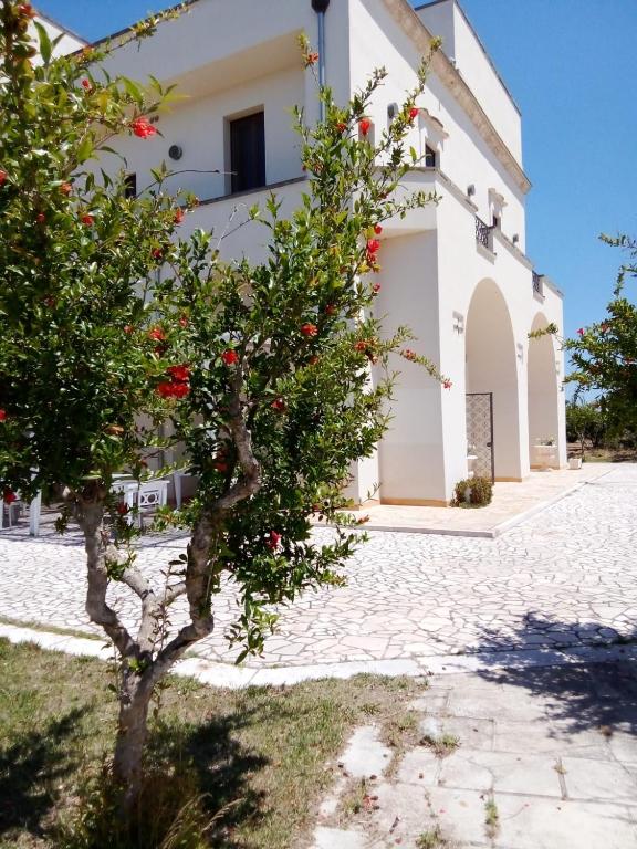 Budova, v ktorej sa ubytovanie bed & breakfast nachádza