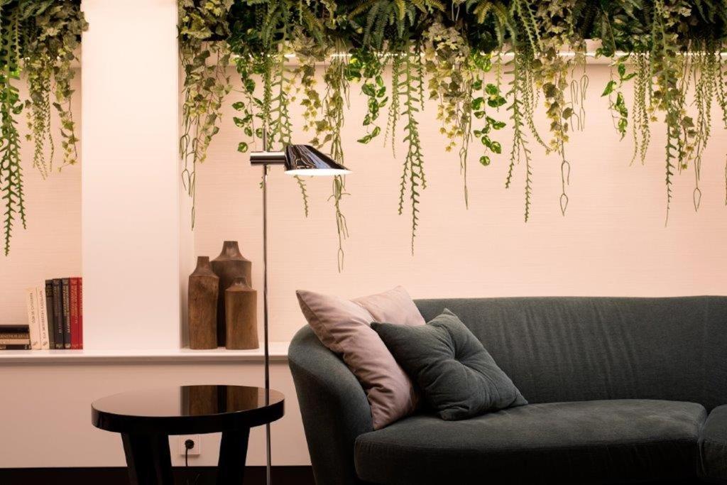 Acacia Suite - Resim 40