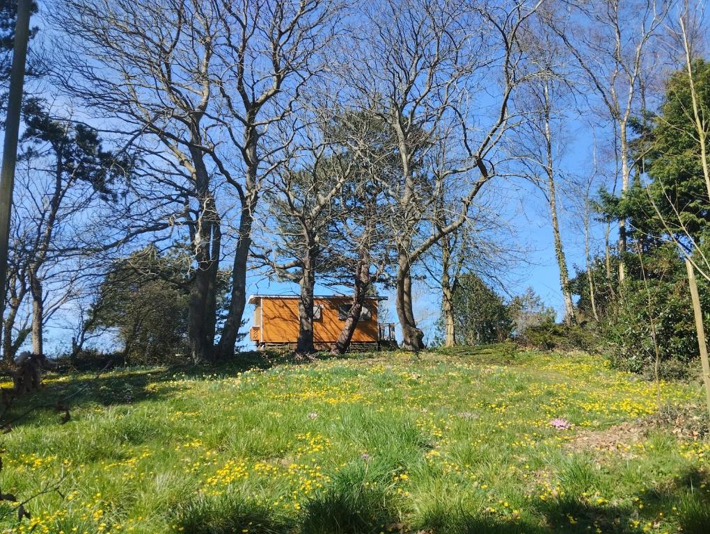 Saint-Jouin-BrunevalにあるRoulotte avec vue sur la mer, proche d'Etretatの草の丘の上の家