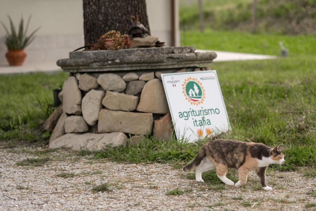 Ospiti di Agriturismo Glamping Pettirosso con animali domestici