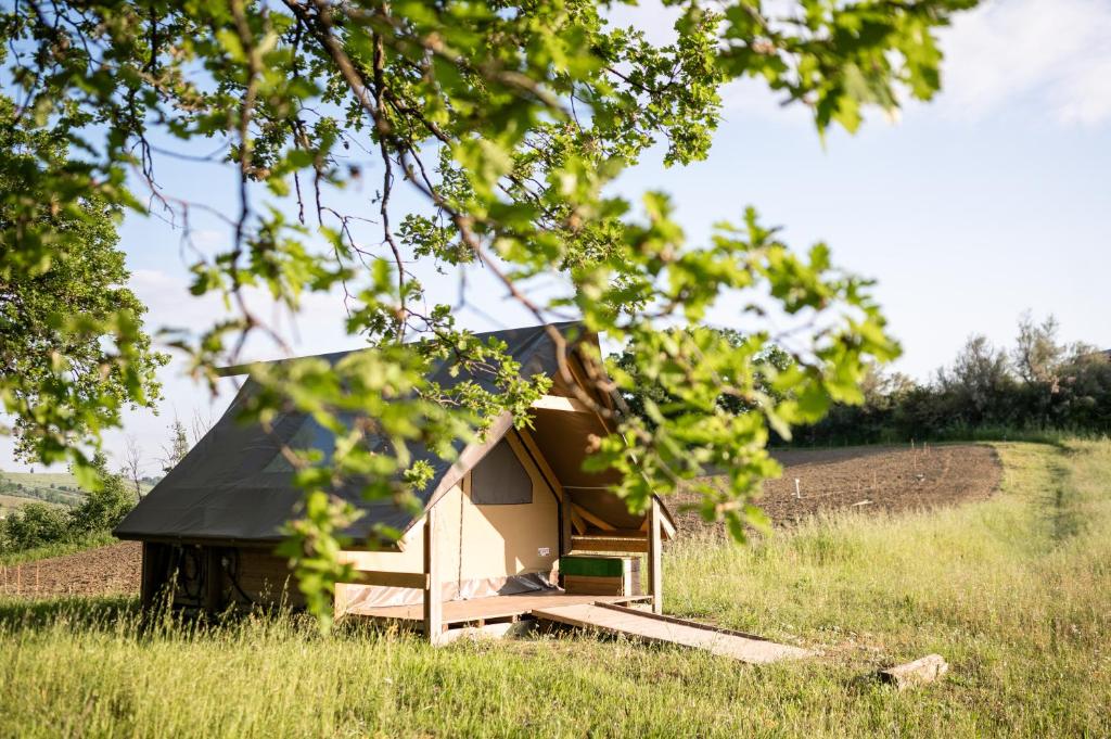 Giardino di Agriturismo Glamping Pettirosso