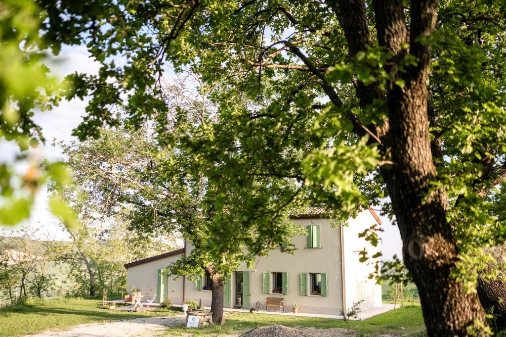 una casa con un albero di fronte di Agriturismo Glamping Pettirosso a Fratta Terme