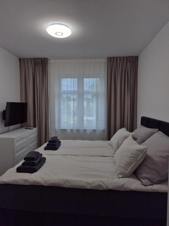 Łóżko lub łóżka w pokoju w obiekcie Brickstone Apartments Mabork