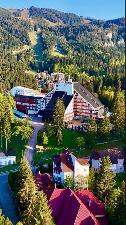 Hotel Piatra Mare - Resim 6